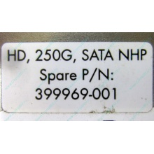 HP 250G 7.2k 432337-001/ 399699-001 / 397377-004 SATA HDD (Керчь)