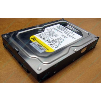 Жесткий диск 160Gb WD WD1602ABKS SATA (Керчь)