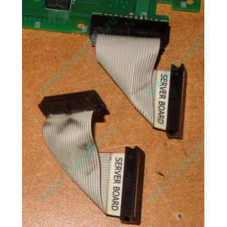 6017B0045701 Шлейф 24 pin для Intel C74974-401 T0043401-B01 корпуса SR2400 (Керчь)