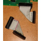 6017B0045701 Шлейф 24pin для Intel C74974-401 T0043401-B01 корпуса SR2400 (Керчь)